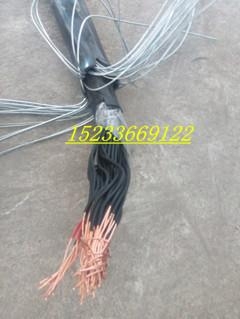云南KFV32*37*2.5耐高温氟塑料钢丝铠装控制电缆